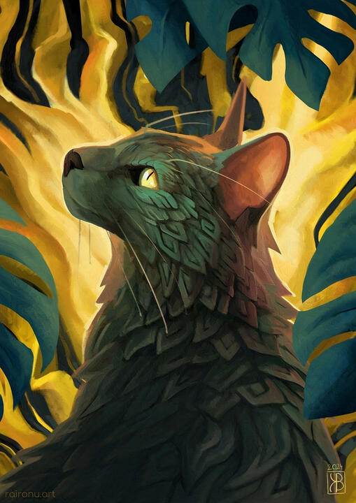 Cat Cat